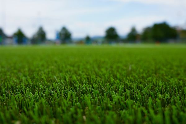 Synthetic Grass - B&M Landscaping